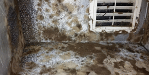 close-up of dark mold spots on metal duct near a register