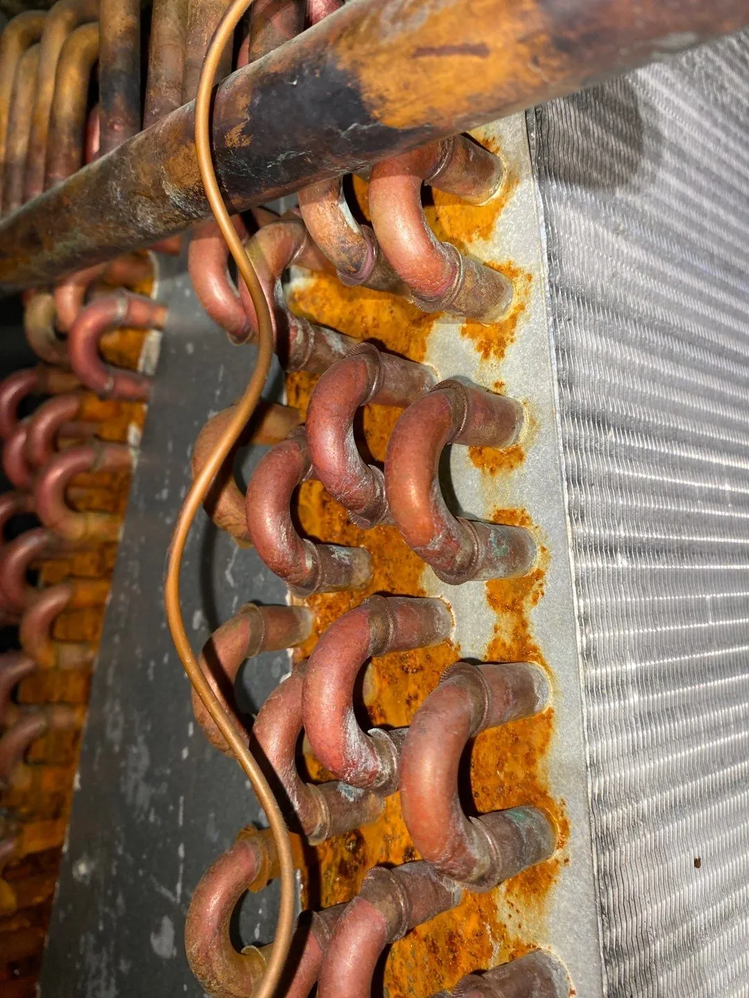 Evaporator Coil Cleaning